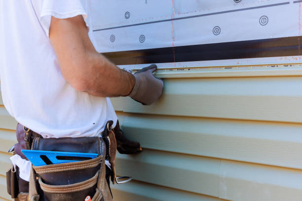 Best Fiber Cement Siding Installation  in Keewatin, MN